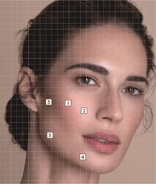 PROFHILO逆時針臉部分布圖