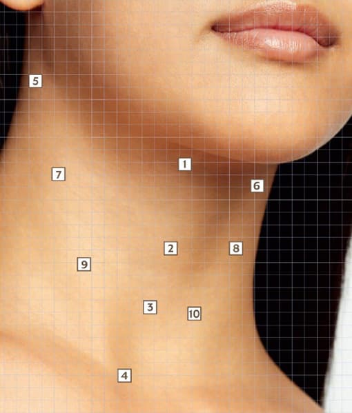 PROFHILO逆時針臉部分布圖