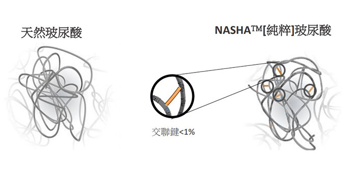 NASHA純粹玻尿酸聯劑含量低於1%